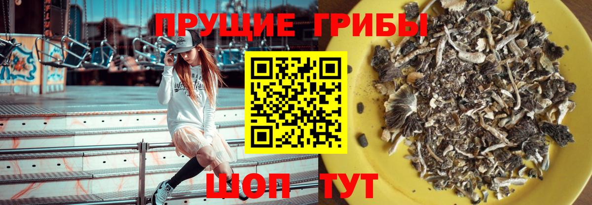 Псилоцибиновые грибы прущие грибы Анжеро-Судженск